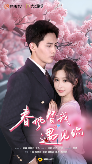 春风替我遇见你（100集）火爆短剧热播中