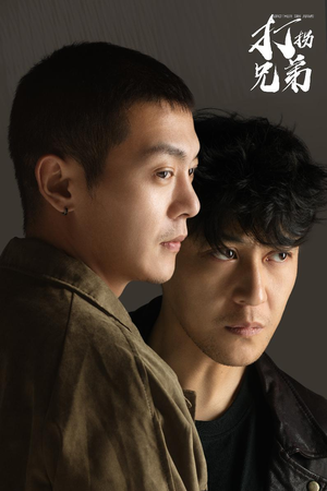 打拐兄弟（30集）在哪里可以看