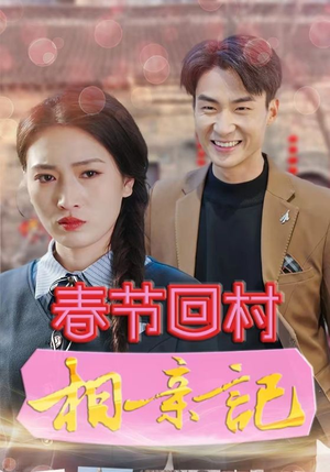 春节回村相亲记（30集）在线播放