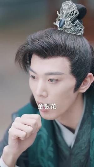 大夏帝君（85集）短剧精彩推荐