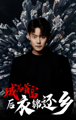 成为首富后衣锦还乡（30集）网盘在线观看