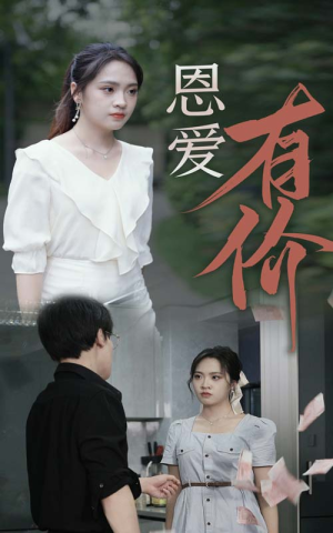 恩爱有价（31集）完整版