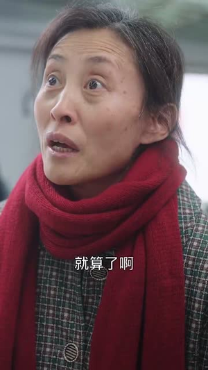 春运归途团圆年（40集）番茄免费短剧