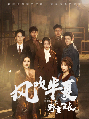 风吹半夏之野蛮生长（59集）真的太精彩了