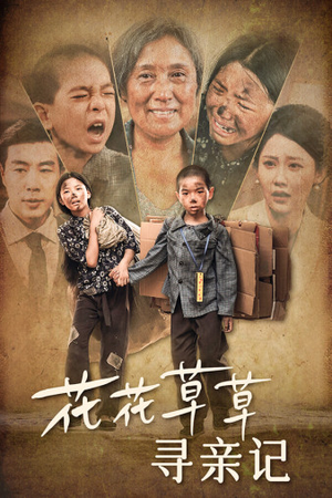 花花草草寻亲记（42集）全网独播免费看