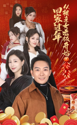 回家过年从相亲女老板开始（64集）看过的人都说好