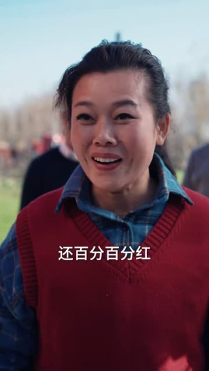 回家过年遇到极品亲戚（29集）好看的短剧电影