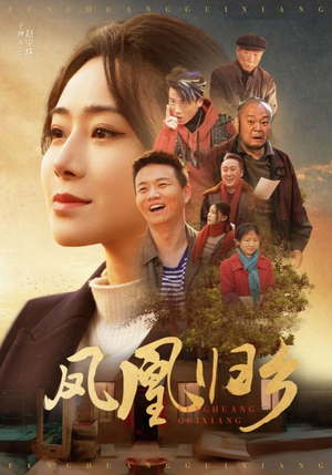 凤凰归乡（33集）流畅播放免费看