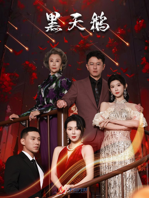 黑天鹅（51集）海量短剧免费看