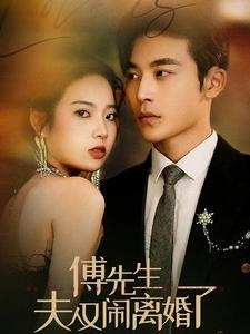 傅先生夫人又闹离婚了（80集）好看吗