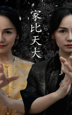 家比天大（63集）短剧解说热门