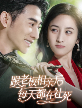 跟老板相亲后每天都在社死（83集）热门短剧免费看