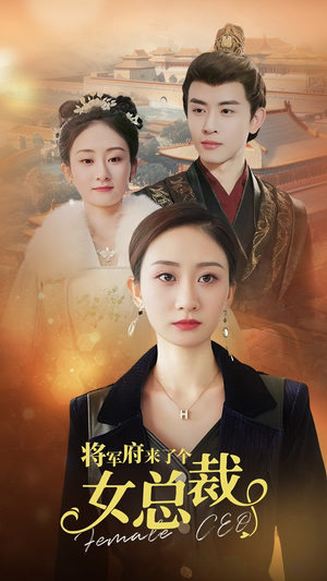 将军府来了个女总裁（88集）完整版