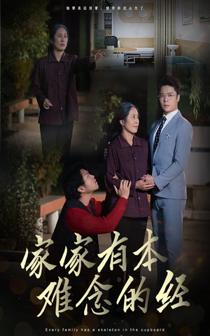 家家有本难念的经（34集）每日分享短剧