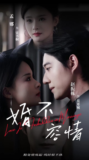 婚不容情（89集）推荐好短剧