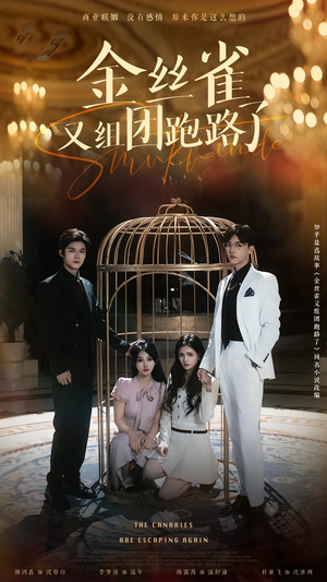 金丝雀又组团跑路了（长篇）每日分享短剧