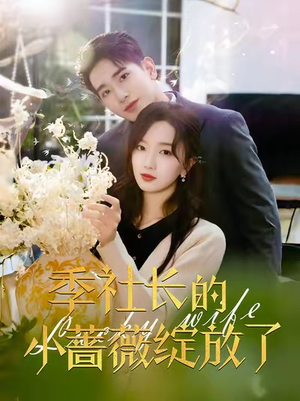 季社长的小蔷薇绽放了（60集）在哪里可以全集