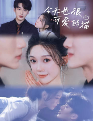 今天也很可爱的猫（72集）免费短剧完整版