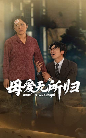 母爱无所归（33集）免费短剧大全