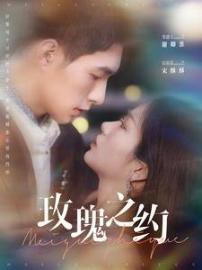 玫瑰之约（95集）迅雷网盘观看