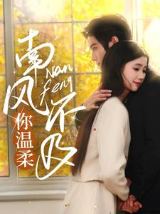 南风不及你温柔（74集）大结局太过瘾了