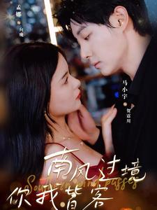 南风国境你我皆客（80集）恋爱短剧分享