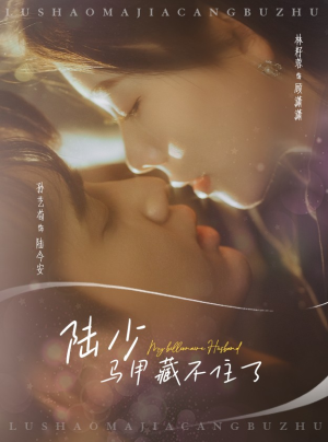 陆少马甲藏不住了（63集）高清画质免费看