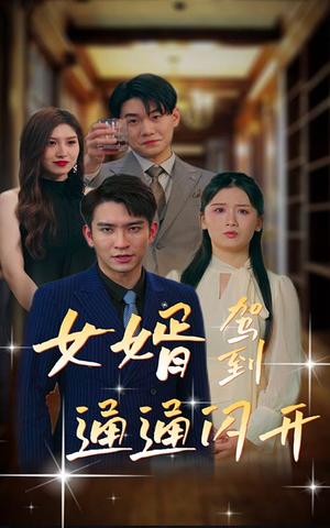 女婿驾到，通通闪开（34集）免费看全集