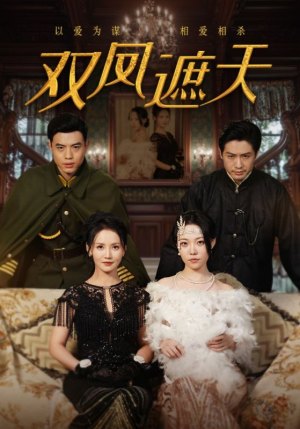 双凤遮天（62集）全集完整版