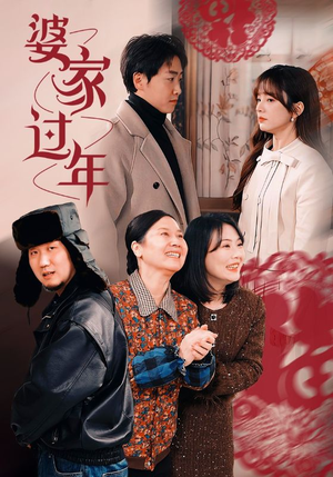 婆家过年（71集）短视频追剧推荐