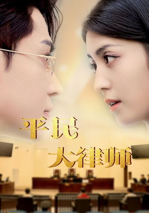 平民大律师（95集）热播短剧推荐