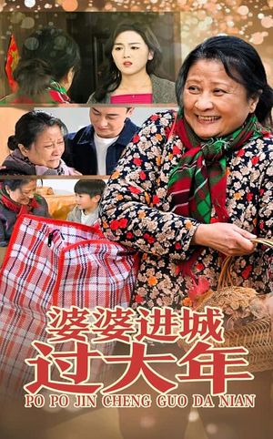 婆婆进城过大年（33集）短剧解说全集