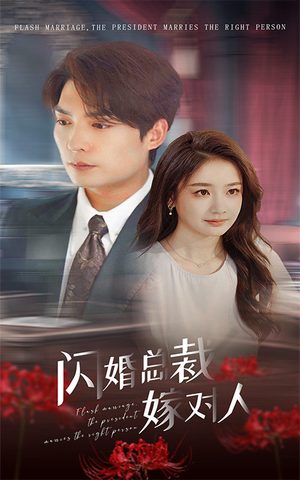 闪婚总裁嫁对人（30集）红果免费短剧