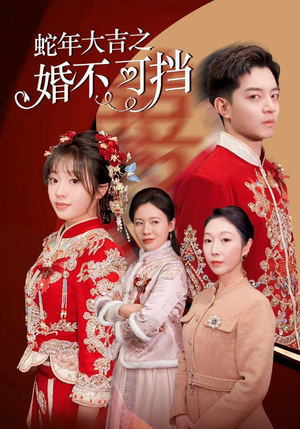蛇年大吉之婚不可挡（50集）全集一网打尽