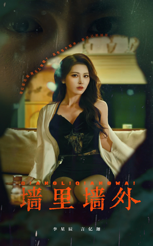 墙里墙外（55集）精彩短剧看全集