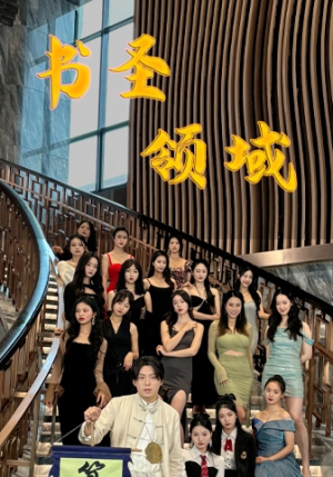 书圣领域（95集）免费在线看