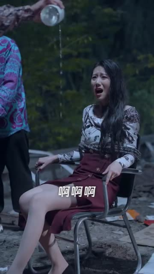 双生（80集）演的怎么样