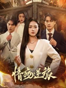 情殇逆旅（90集）全季一次看完