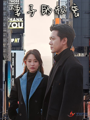 妻子的秘密（50集）原创精彩短剧