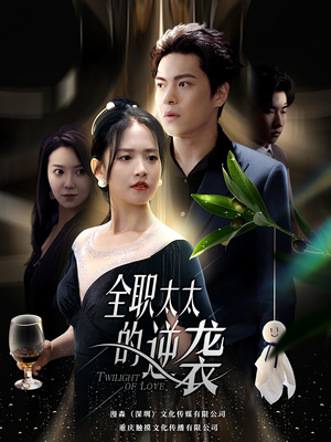 全职太太的逆袭（80集）小短剧推荐