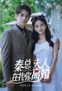 秦总，夫人在找你离婚（79集）精彩短剧天天看