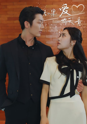 如果爱有天意（80集）看到大结局