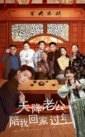 天降老公陪我回家过年（60集）短剧越看越精彩