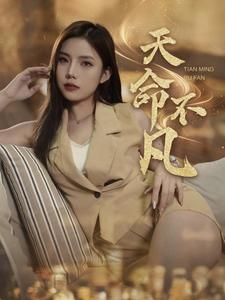 天命不凡（28集）看到大结局