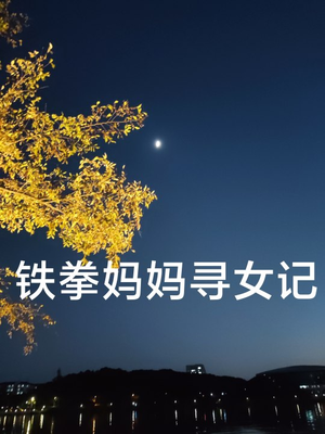 铁拳妈妈寻女记（69集）高清画质免费看