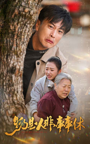 物是人非事事休（41集）每日短剧推荐