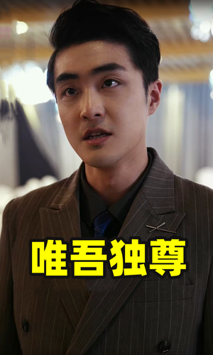 唯吾独尊（96集）热播短剧重燃