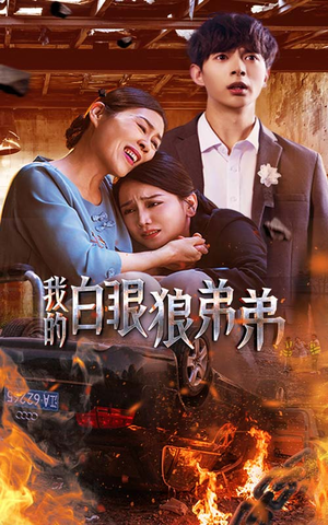 我的白眼狼弟弟（69集）免费看全网短剧