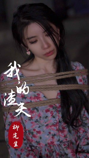 我的渣夫柳先生（80集）短剧小说在线看