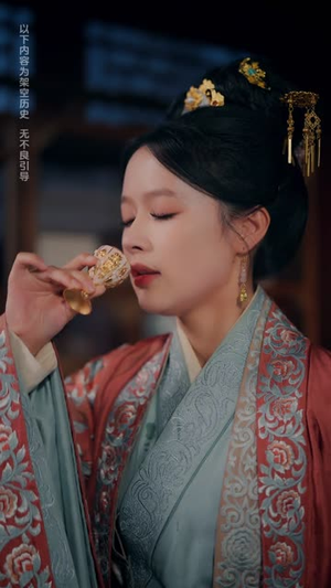 王妃娘娘有人下单啦（16集）夸克网盘在线看